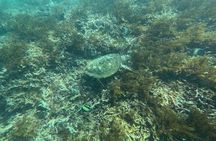 Private Bali Snorkling at blue lagoon
