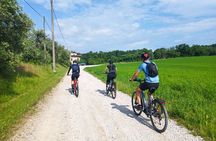 E-Bike tour and Wine tasting from Desenzano Inland