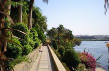 Explore the Botanical garden & Nubian village in Aswan.