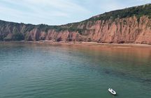 Jurassic Coast Tour