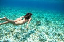 Columbia, Palancar & Cielo Cozumel Snorkel Tour
