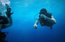 Underwater Discovery for Beginners – Full Day Diving with Lunch