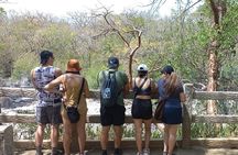 Exploring Rincon de la Vieja Volcano and Waterfall