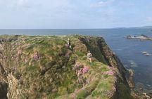 Toe Head Clifftop Hike in West Cork
