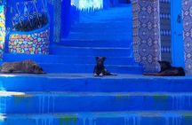 Full Day Private Tour to Blue City Chefchaouen from Tanger