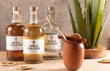 Cancun Tequila Tasting and Pairing at El Morro Restaurant