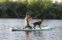 Paddle Board Rent the Lower Salt River