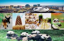 Chengdu Panda Base Half Day Tour