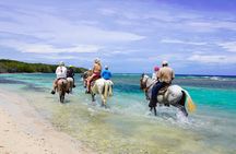 Horseback Riding at Mahogany Bay 