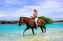 Extreme Zip Line & Horseback Adventure at Mahogany Bay