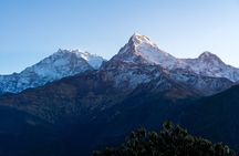 3 Days Ghorepani and Poonhill Private Trek from Pokhara