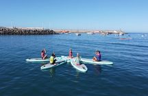 Gran Canaria: Small Group Sup Yoga Experience.