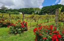 Mount Tamborine Wine Tasting Tour from Brisbane or the Gold Coast