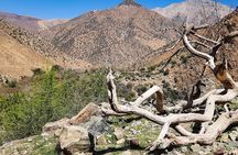 From Marrakesh: Ourika Valley and Atlas Mountains Private Tour