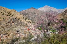From Marrakesh: Ourika Valley and Atlas Mountains Private Tour