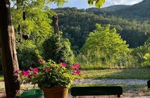Cooking Class for Pasta Lovers in Florence Country House