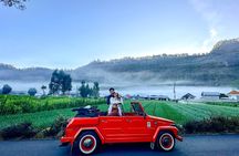 Highlight Ubud Tour in Classic Vintage Volkswagen