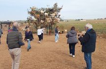 Essaouira day trip from Agadir & Taghazout