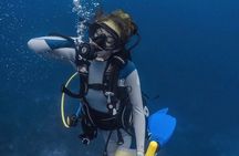 “Embark on a Professional and Passionate Scuba Diving Adventure!"