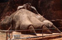 Sigiriya Rock Dambulla Cave and Village Tour From Trincomalee