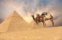 Private Tour in the Egyptian Museum and civilization museum