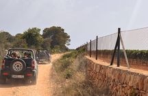 Self Drive 4x4 Off Road Jeepsafari Tour Mallorca