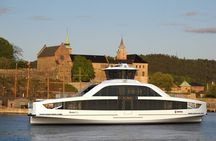 4 Hours Island Hopping Tour in Oslo