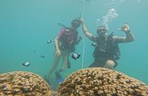 Beginner Scuba Experience with Video Package in Honolulu