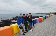Private Day tour East & south & west of All area in jeju island 