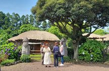 9 Hour Private Day Tour Taxi in Jeju island (High recommend)