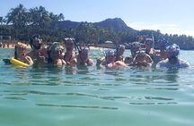 Waikiki Snorkeling. Free Pictures and Video! Shallow. Many Fish! 
