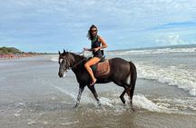 Private Bali Horse Riding and Surf lesson in Seminyak Beach
