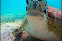 Cas Cay - Kayak Hike and Snorkel Adventure