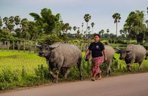 Siem Reap Half Day Countryside Bike Tour with Local Guide