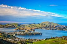 Castle, Coast & City Half-day Private Tour (German or English)