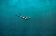 Snorkeling at White Island & Ras Mohammed - Sharm El-Sheikh