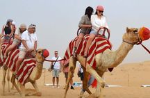 Evening Desert Safari Tour with BBQ Dinner and Live Show in Dubai