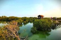  Private North of Qatar Tour