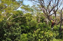 Customizable Zipline Adventure 
