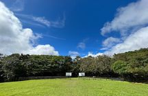Rincon de la Vieja/Santa Maria Nature Hike & Hot Springs/Half day