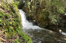 Rincon de la Vieja/Santa Maria Nature Hike & Hot Springs/Half day