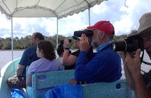 Wings of Belize: Crooked Tree Wildlife Adventure 