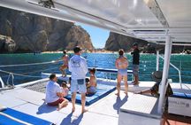 Cabo San Lucas All-Inclusive Private Catamaran Snorkeling Cruise