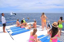 Cabo San Lucas All-Inclusive Private Catamaran Snorkeling Cruise