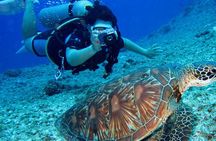 Bodrum Scuba Diving Experince with Lunch and Roundtrip Transfer
