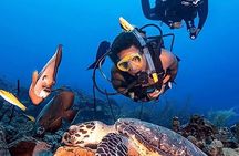 Bodrum Scuba Diving Experince with Lunch and Roundtrip Transfer