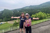 Shizuoka Tea Picking Private Experience