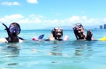 Snorkeling in Waikiki Many Fish All Levels Free Video & Pics! 