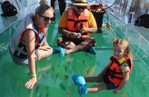 Clear Boat Ride with City Tour in Los Cabos