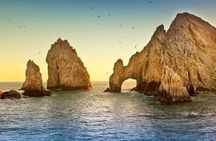 The Arch of Los Cabos Glass-bottom boat tour